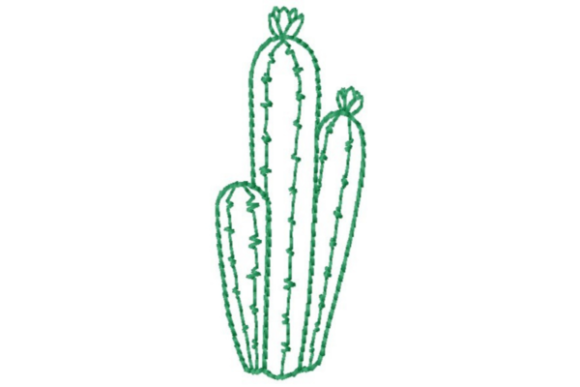 Cactus Group Outline Embroidery Review